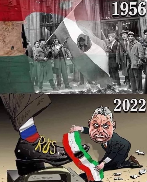 claudio#italiasolidalefutura tweet media