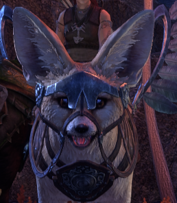 mori .𖥔 ݁ ˖ semi hiatus tweet media