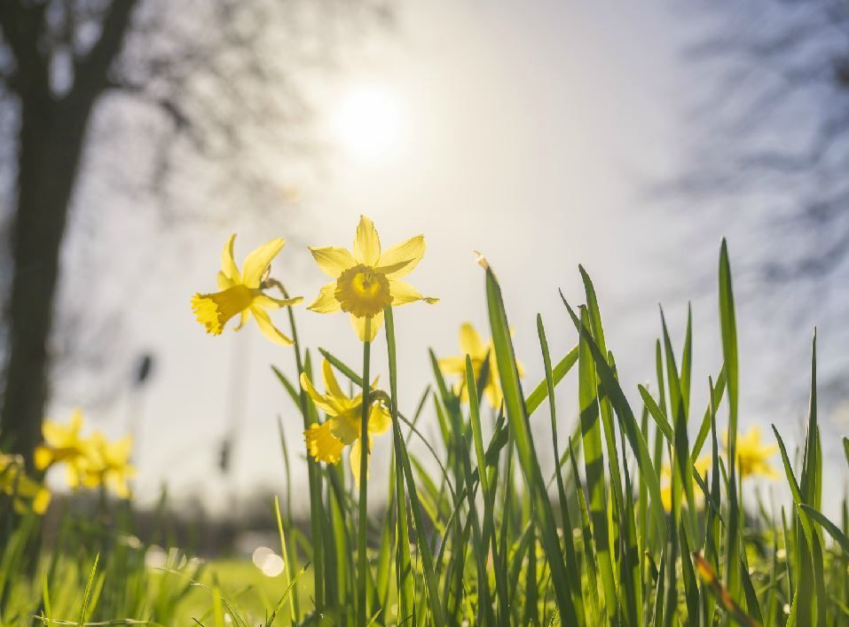 kmfm news tweet media