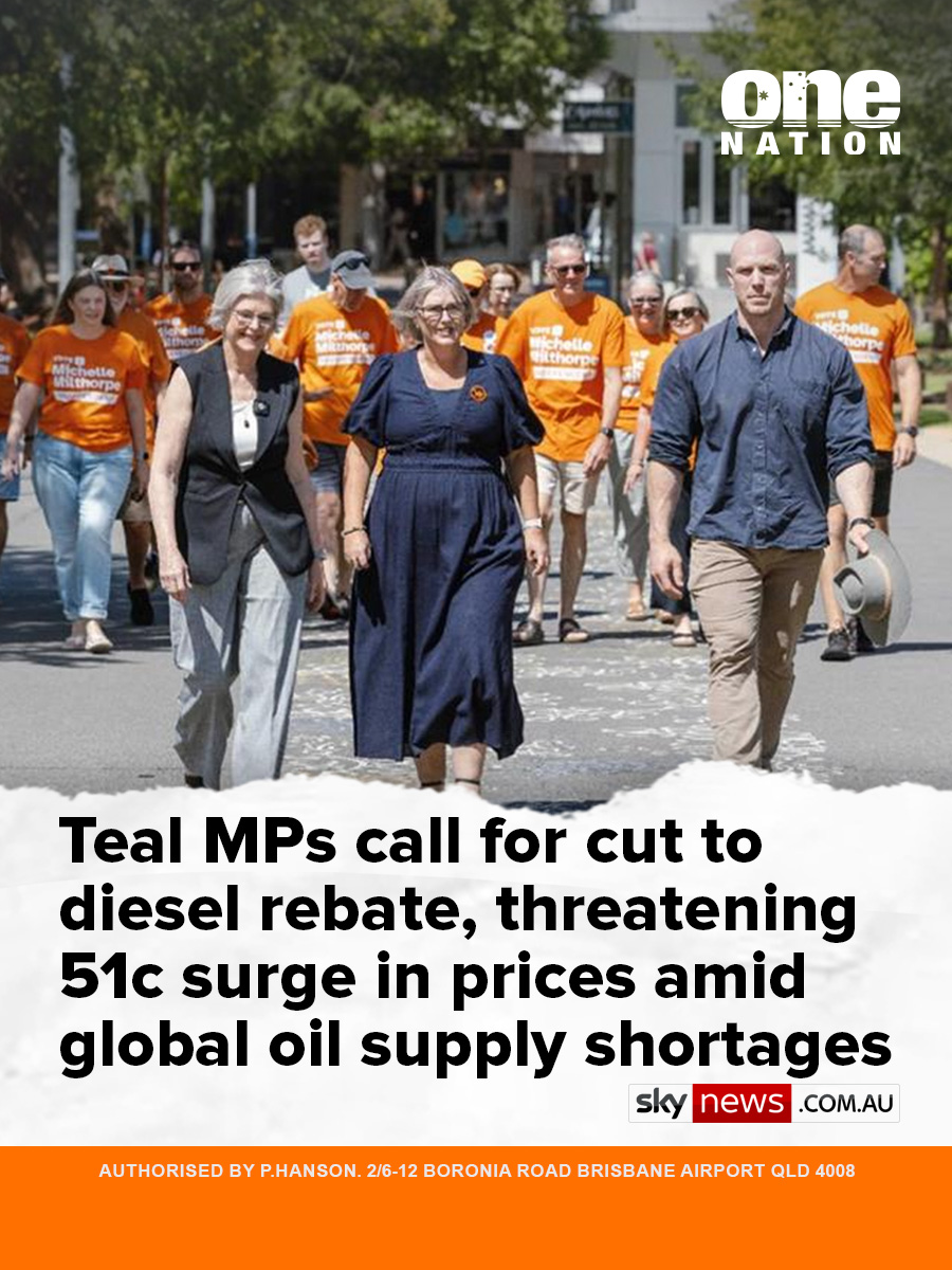 One Nation Australia tweet media