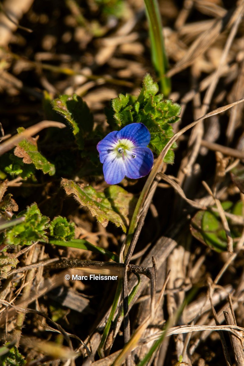 Marc Fleissner tweet media