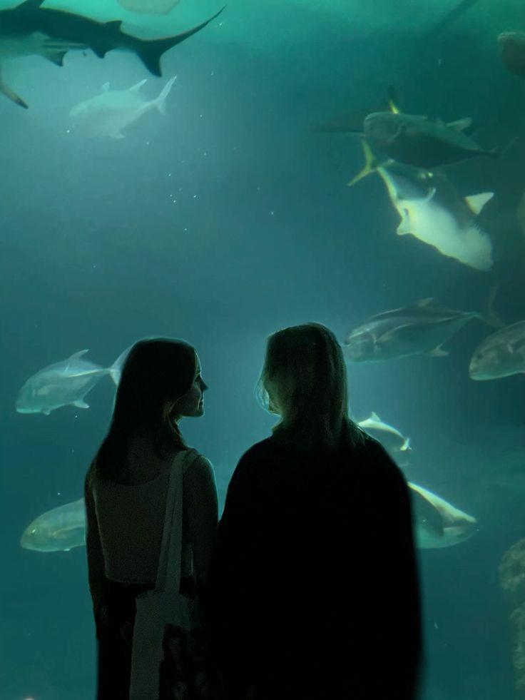 Nocturne Yuri tweet media