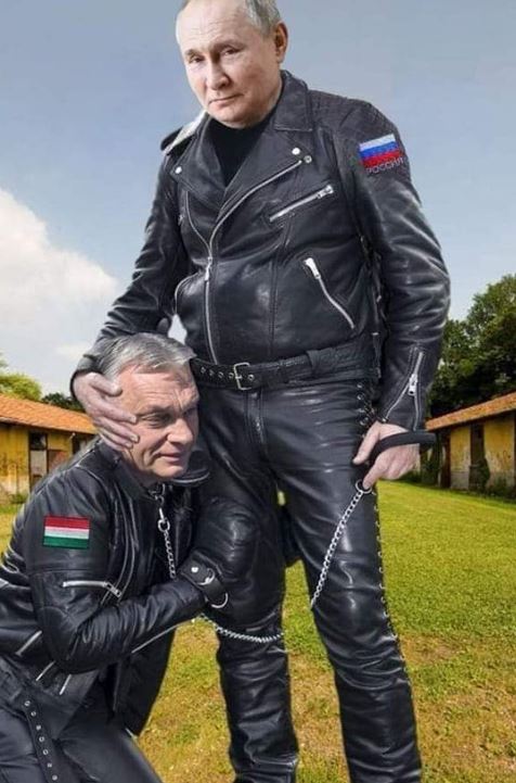 claudio#italiasolidalefutura tweet media