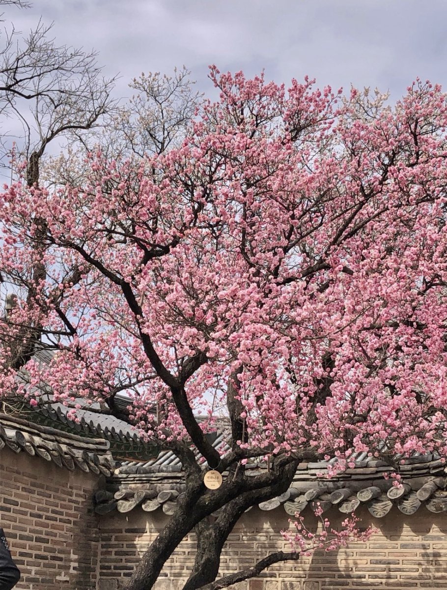 디마이 tweet media