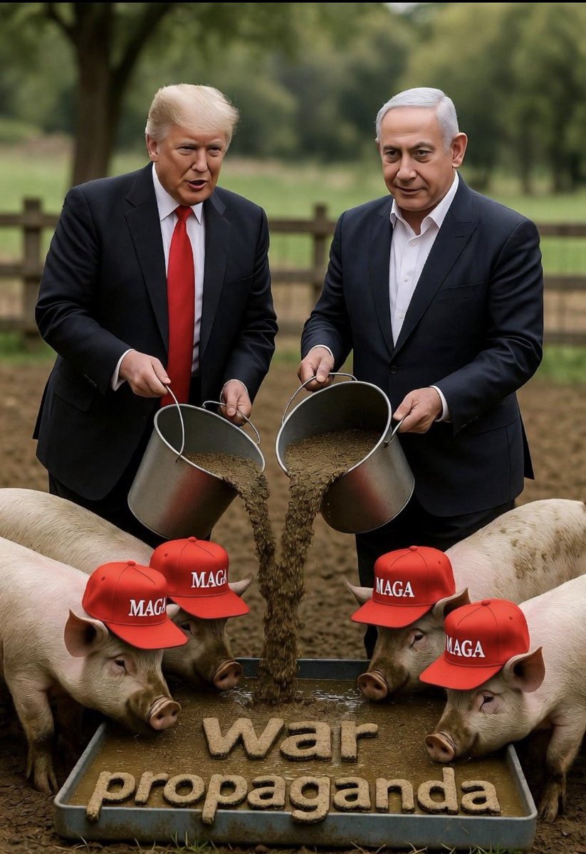 DanC ₿ tweet media