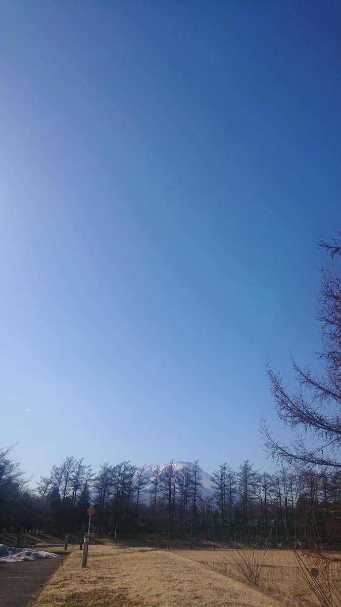 °とっと° tweet media