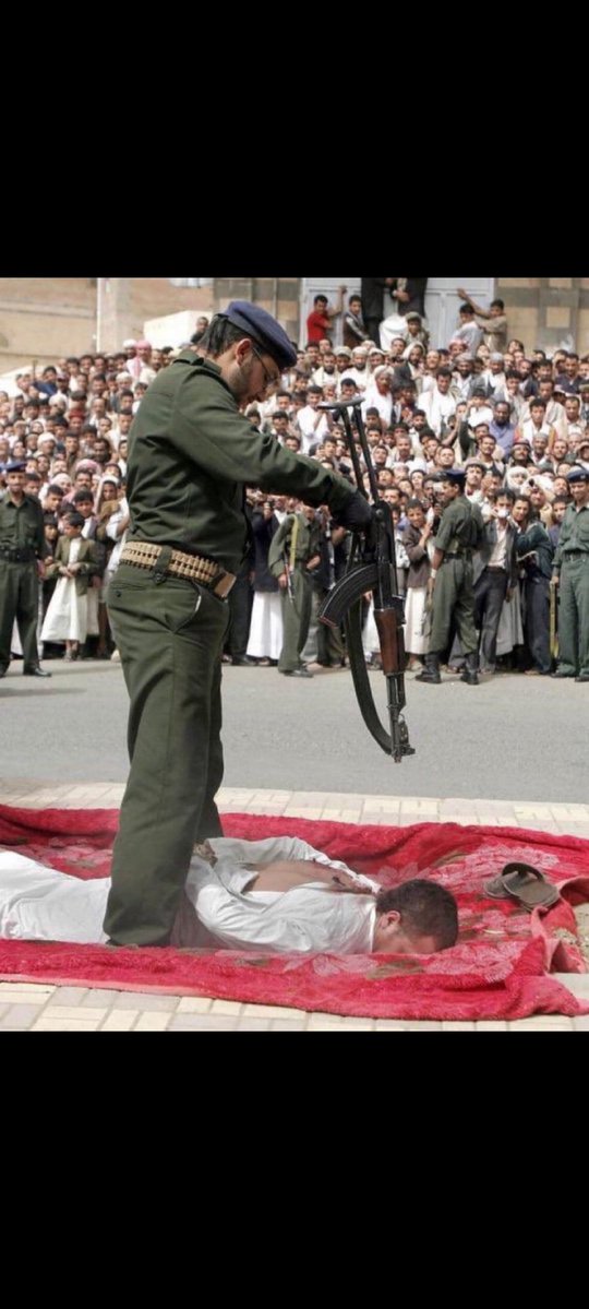 NextPress 🔻 tweet media