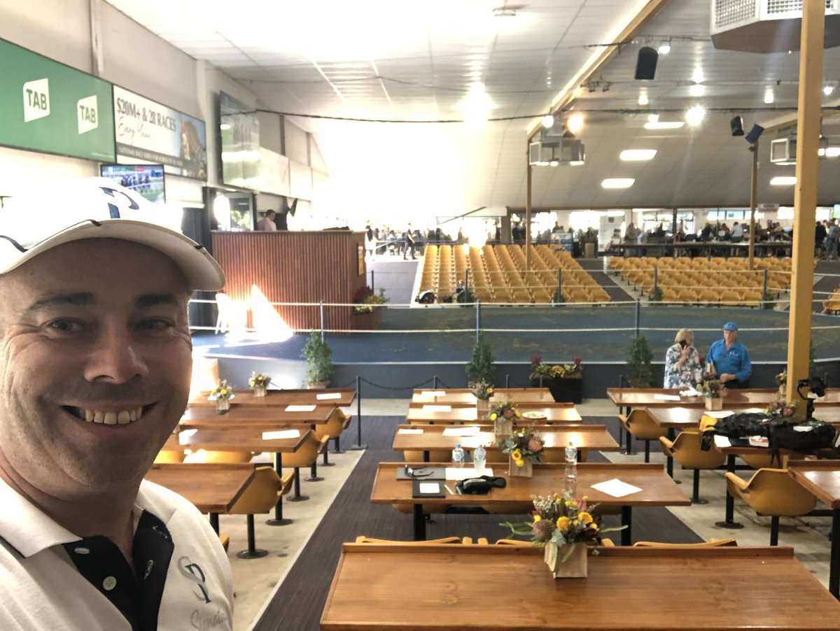 Signature Pedigrees tweet media