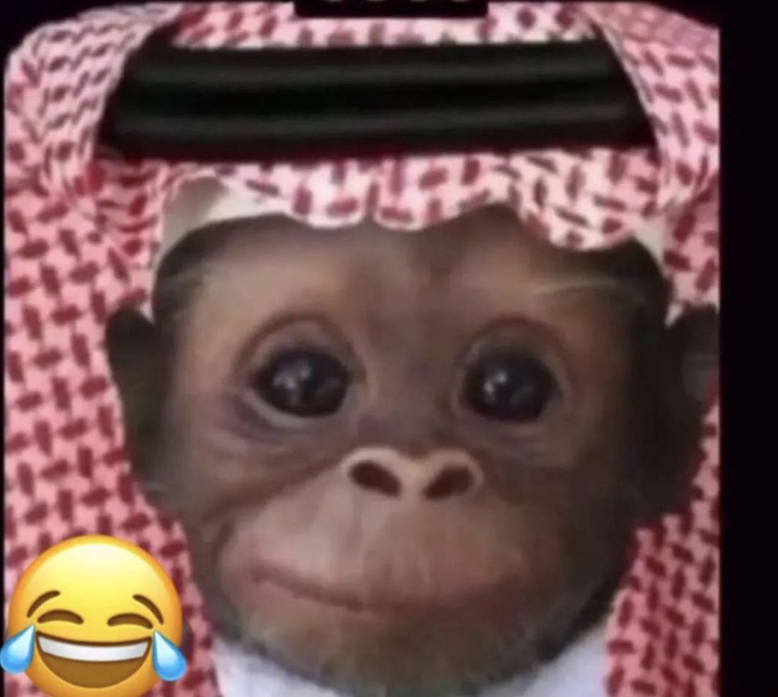 كَائِنٌ ضَوئّيْ tweet media