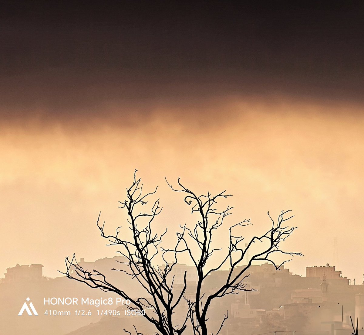 عادل محمد tweet media