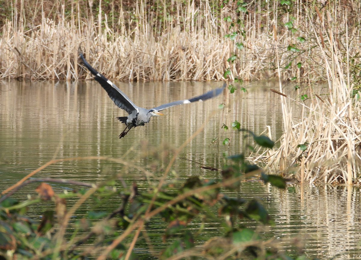 Bwarropics tweet media