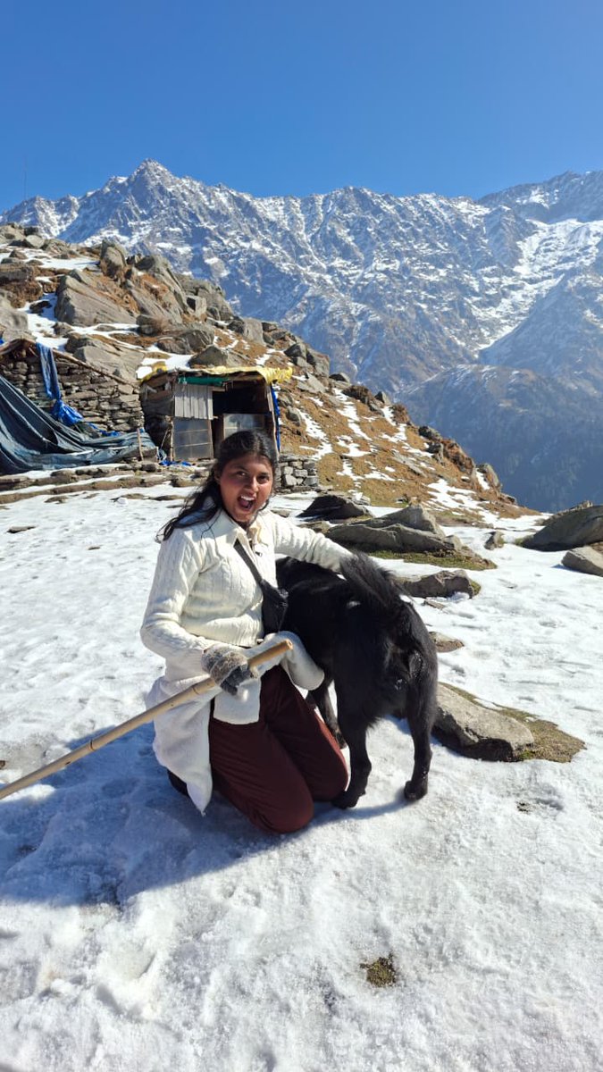 Niharika tweet media