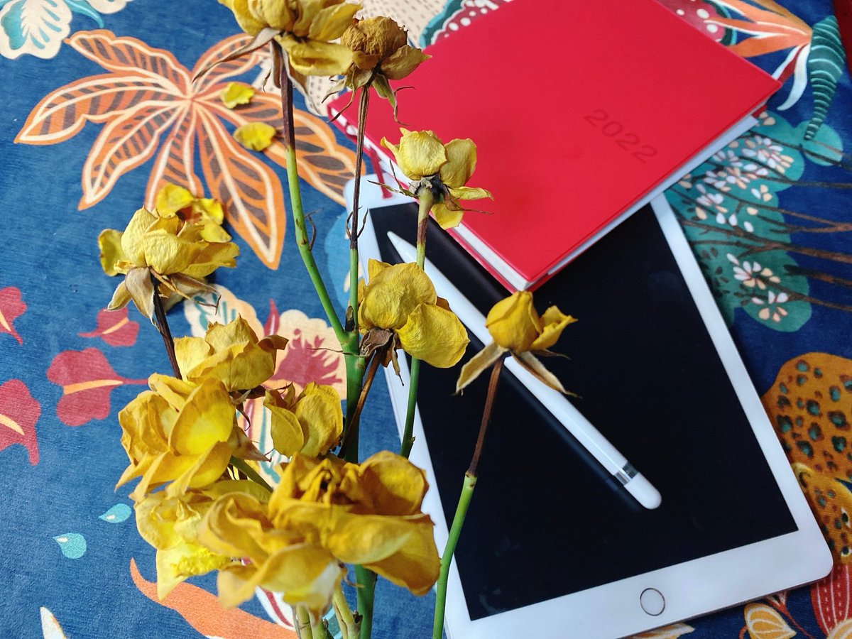 Carole Thomson tweet media