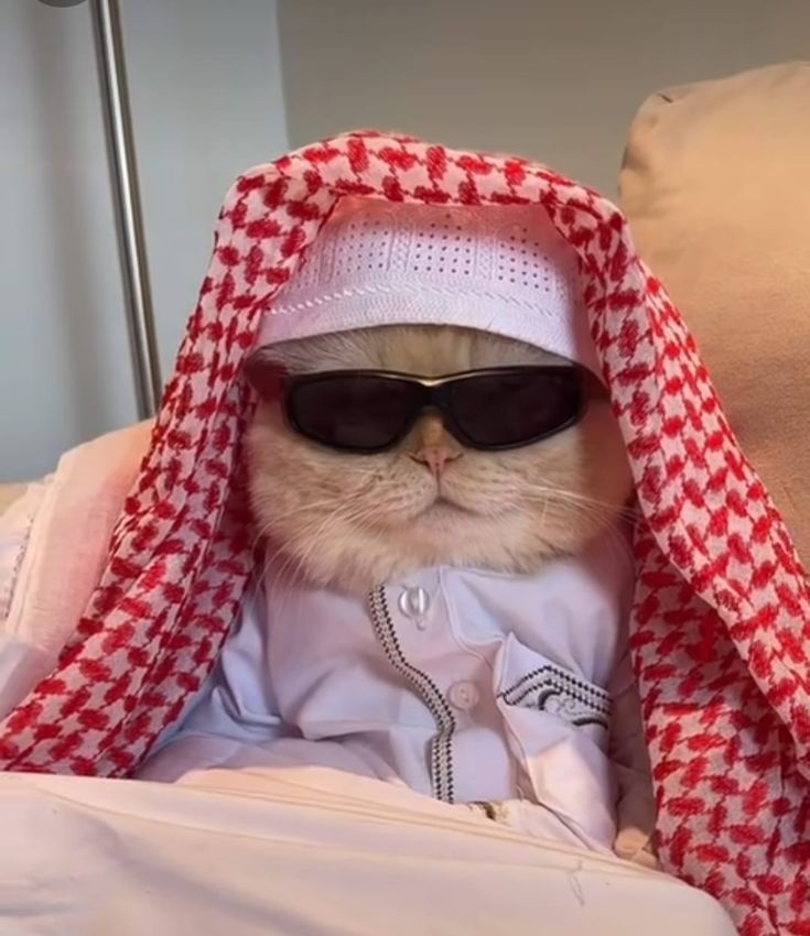 RYAN👑 tweet media