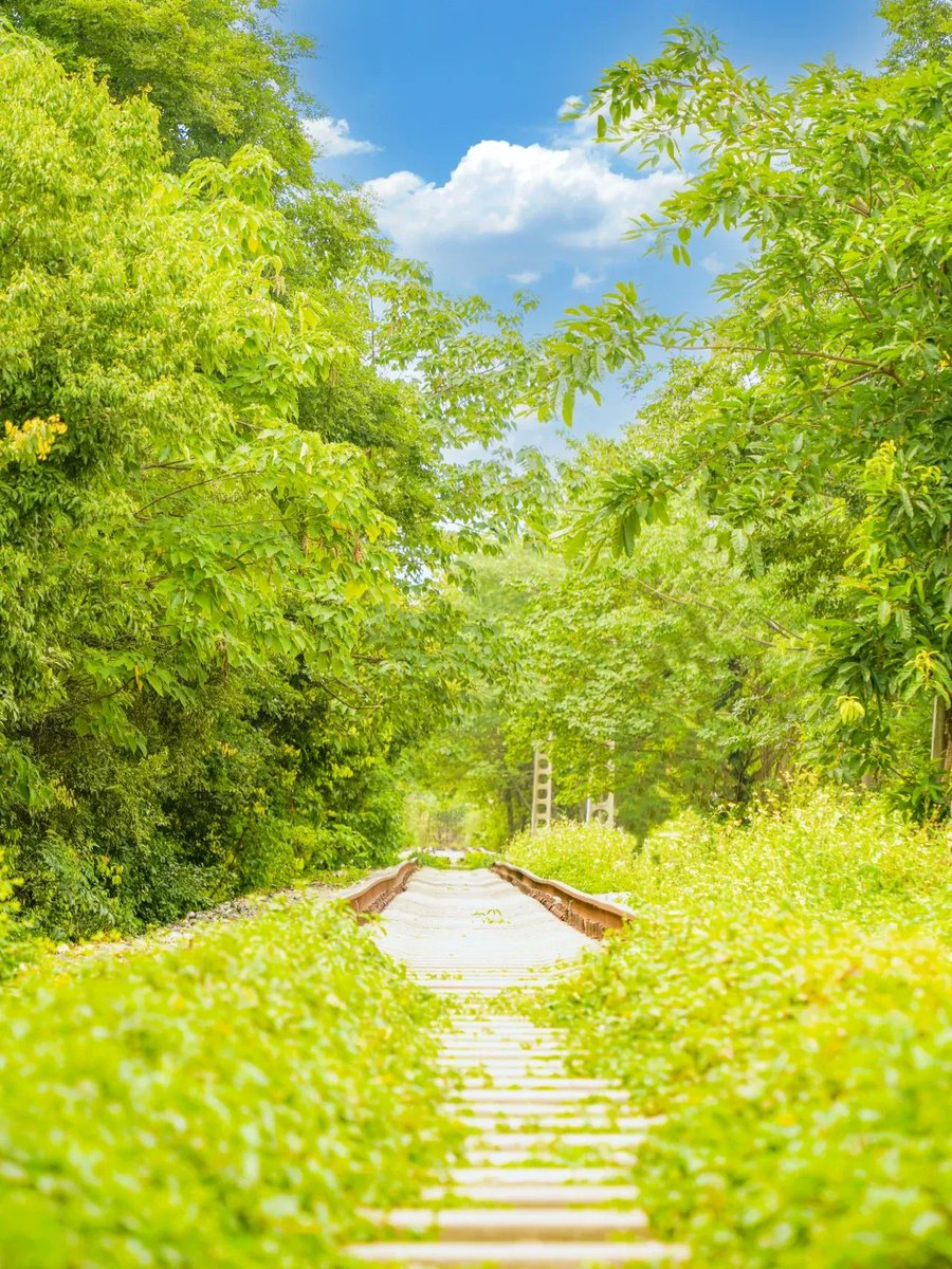 robert brazee tweet media