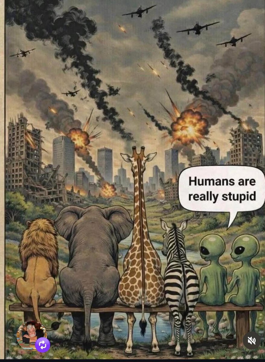 dominic dyer tweet media