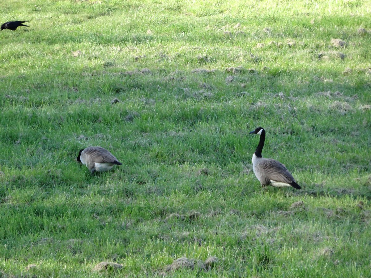 Fréd 5.2.6 tweet media