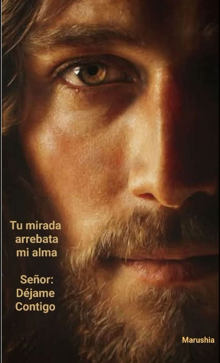 Julie Parker tweet media