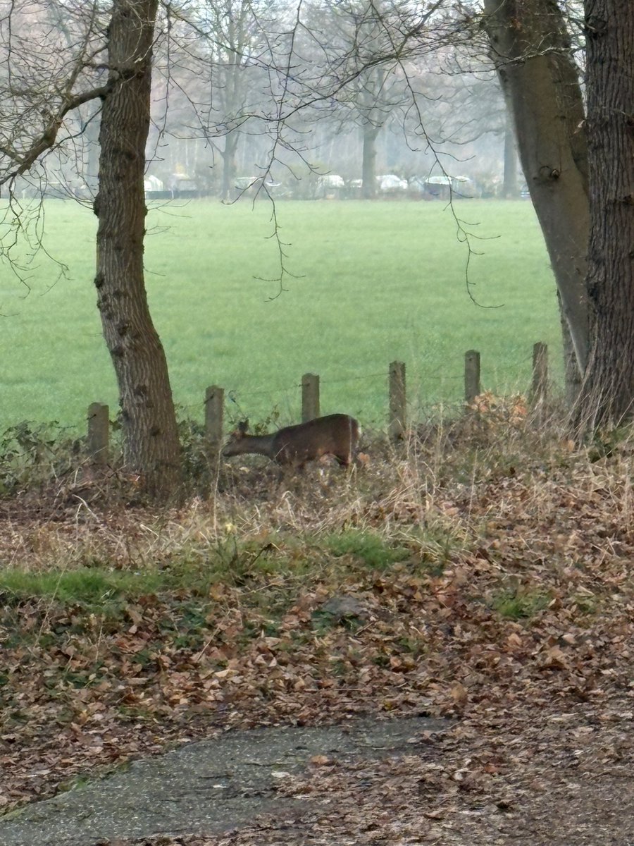 Frank van der Wal tweet media