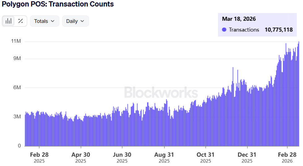 ECLIPSE MAXI tweet media