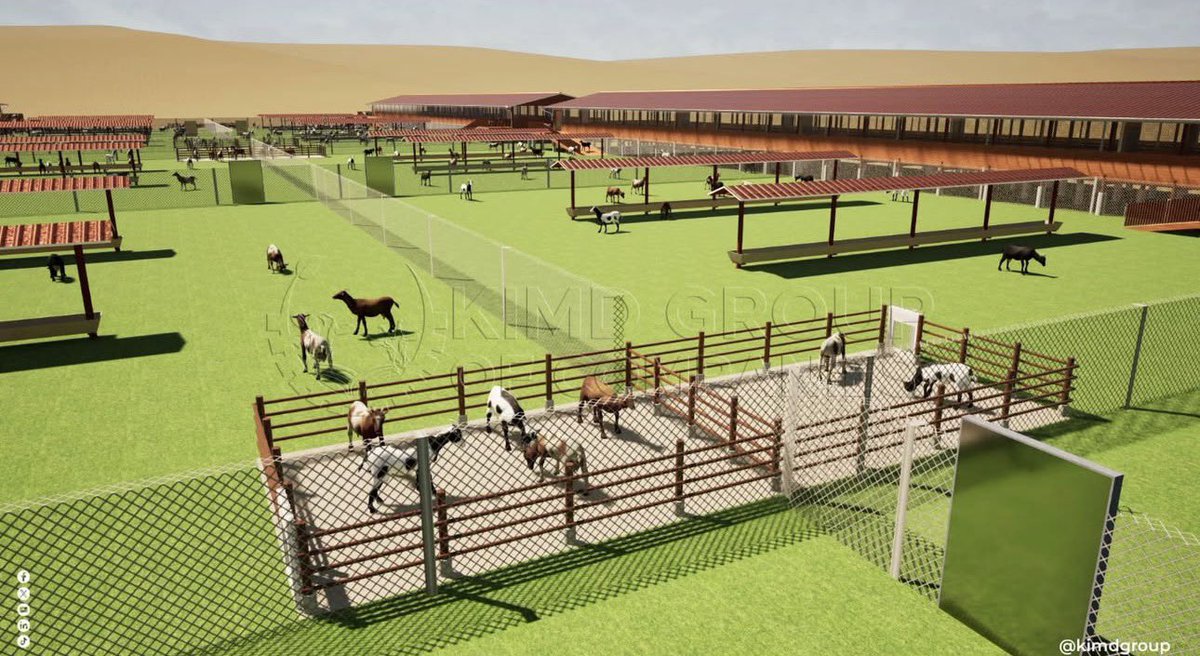 Dieudone HARAGIRIMANA tweet media