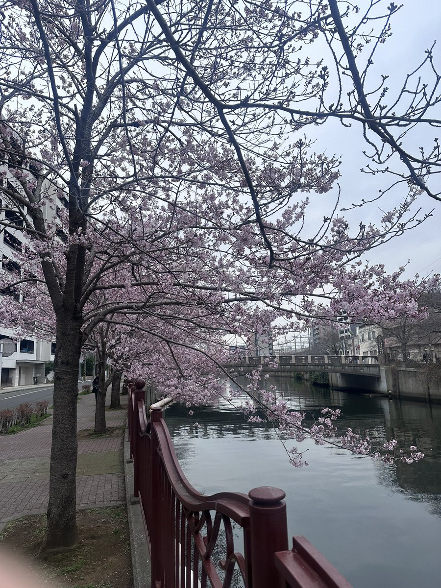 ハリィ永田@春来たれり tweet media