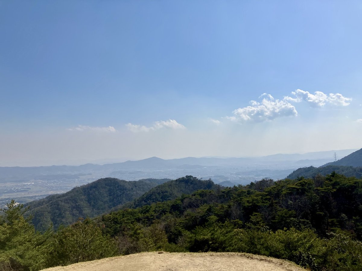 木林 霖之助🐕🐾👓＠春眠暁の犬 tweet media