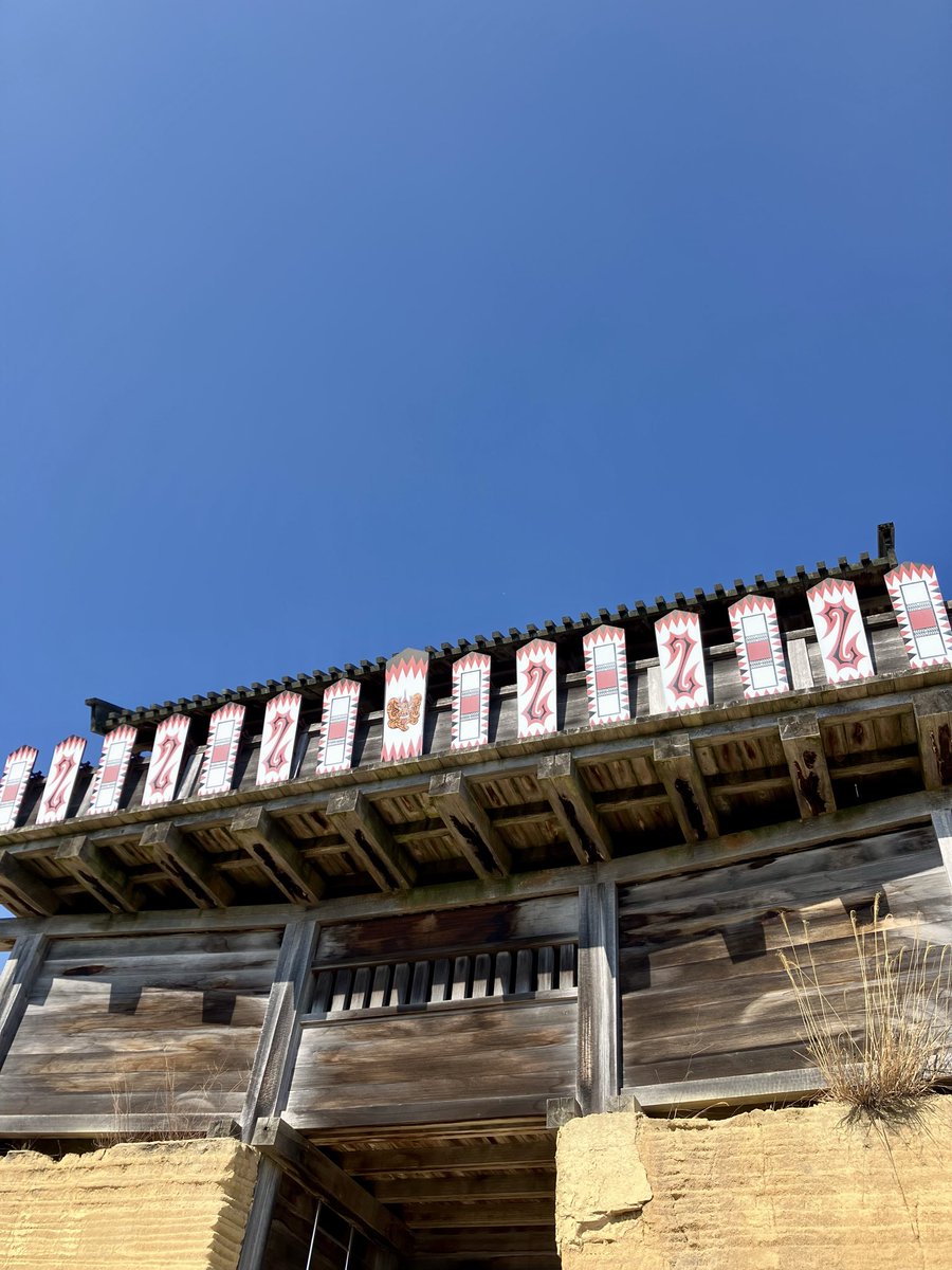 木林 霖之助🐕🐾👓＠春眠暁の犬 tweet media