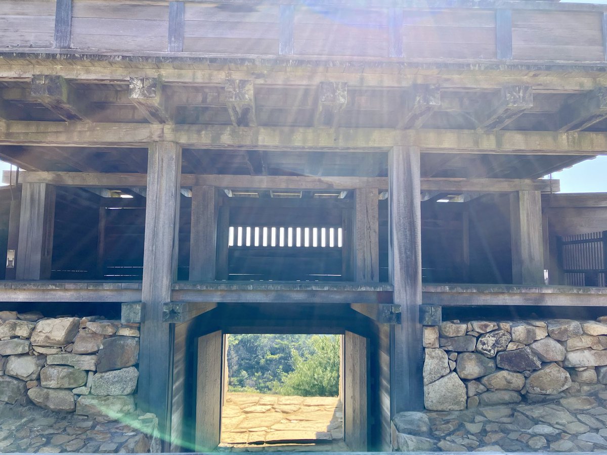 木林 霖之助🐕🐾👓＠春眠暁の犬 tweet media