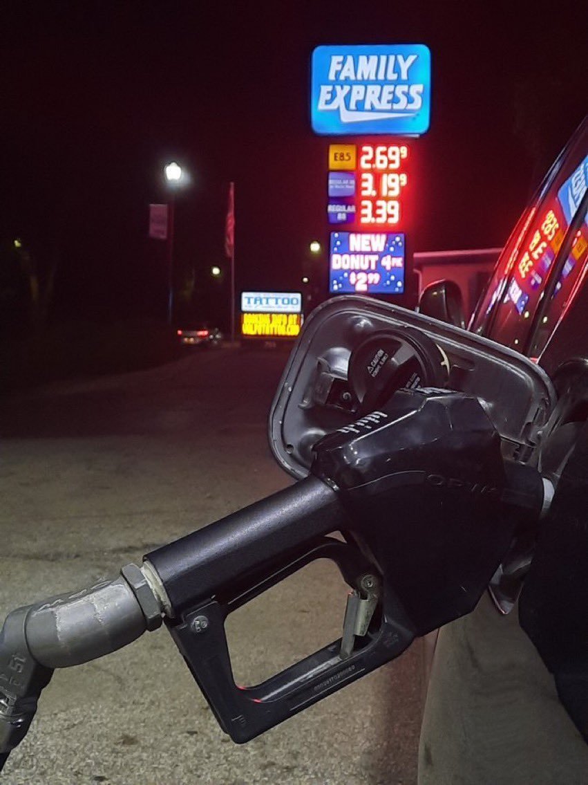 MythoAmerica 🌲 tweet media