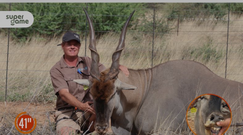 TlouSetso tweet media