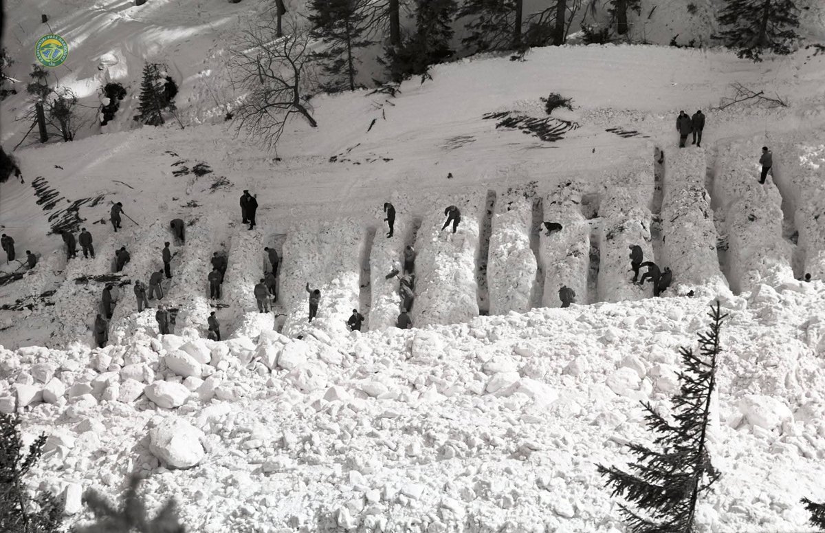 KPN profil oficjalny tweet media