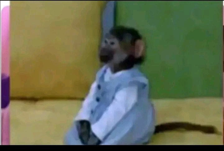 Heis Trusted tweet media