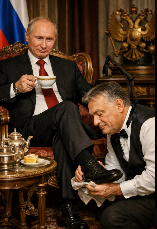 claudio#italiasolidalefutura tweet media