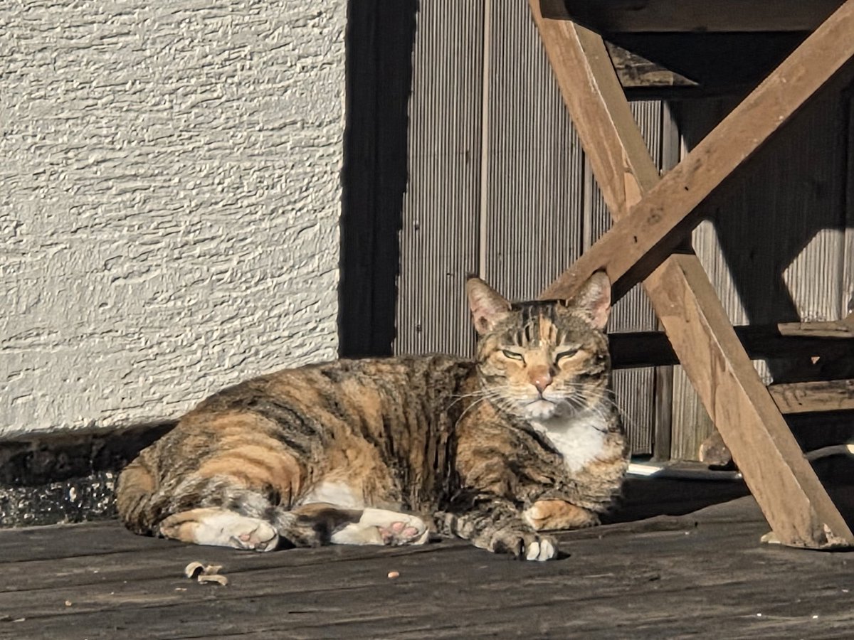 최재천의 아마존 tweet media