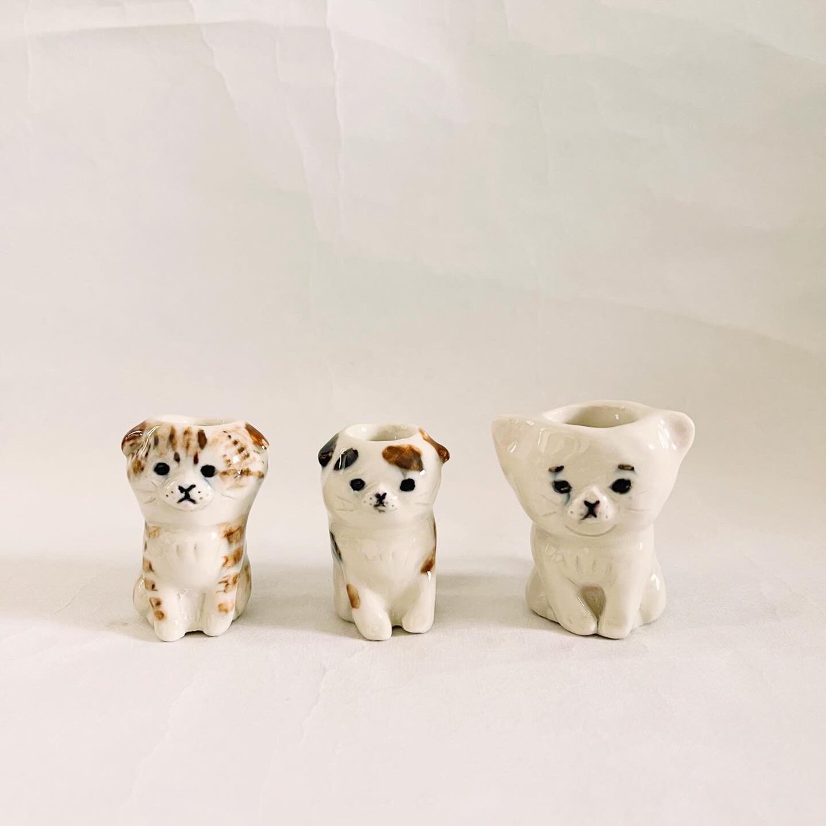 cheeko.chemon.h tweet media