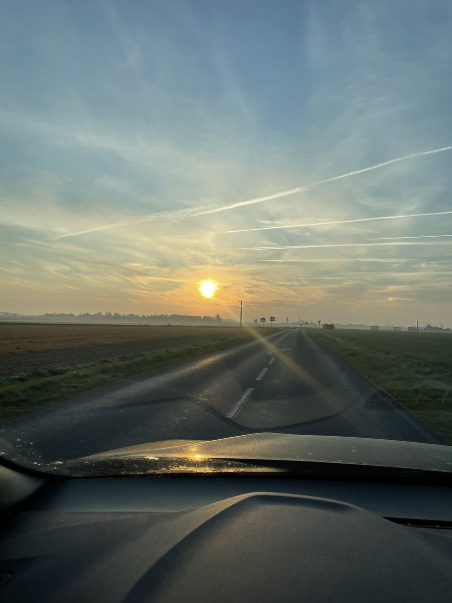 Blondie 🔞 tweet media