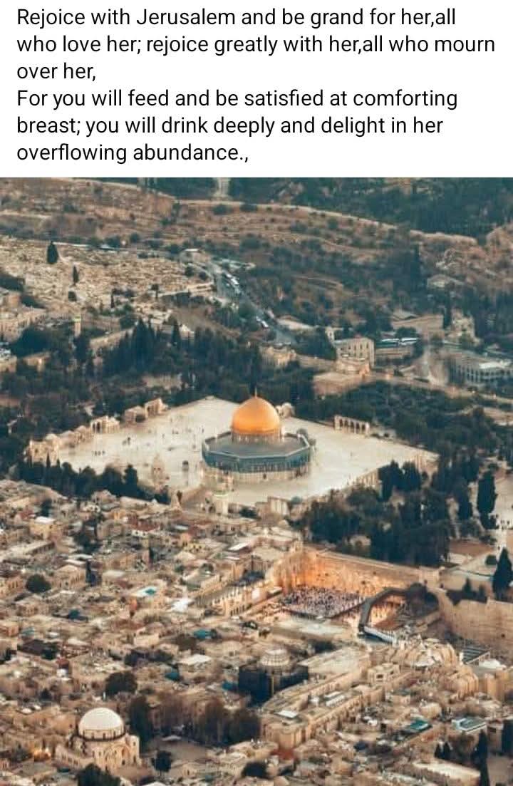 Marilyn Av ✡️🇮🇱 tweet media