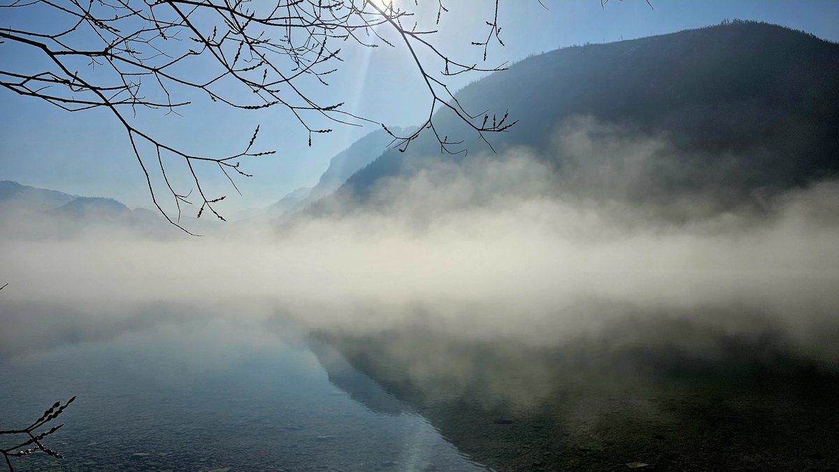 Da Stoascheisser Korl tweet media