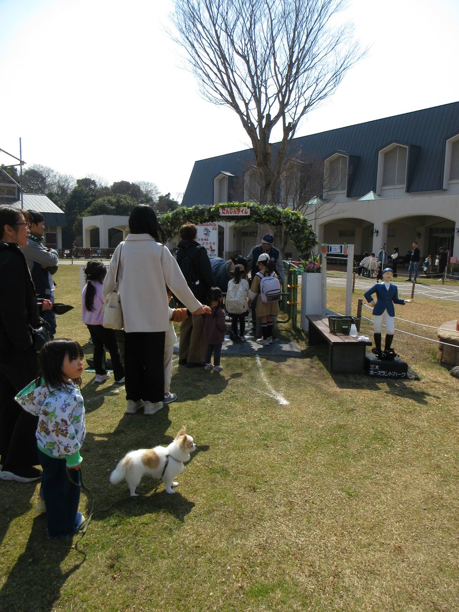 三木ホースランドパーク tweet media