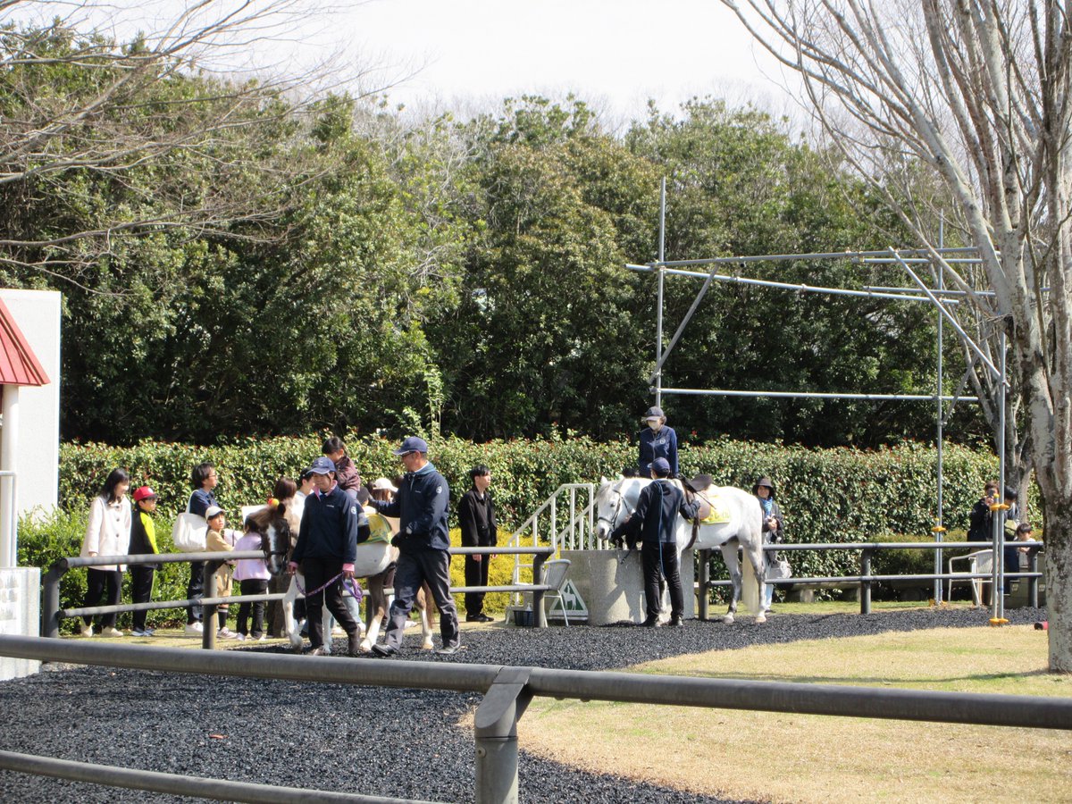 三木ホースランドパーク tweet media