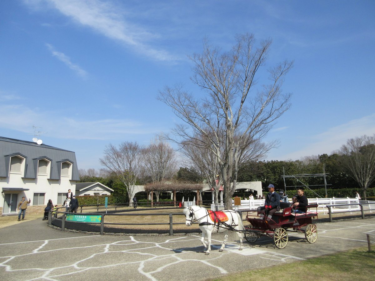 三木ホースランドパーク tweet media