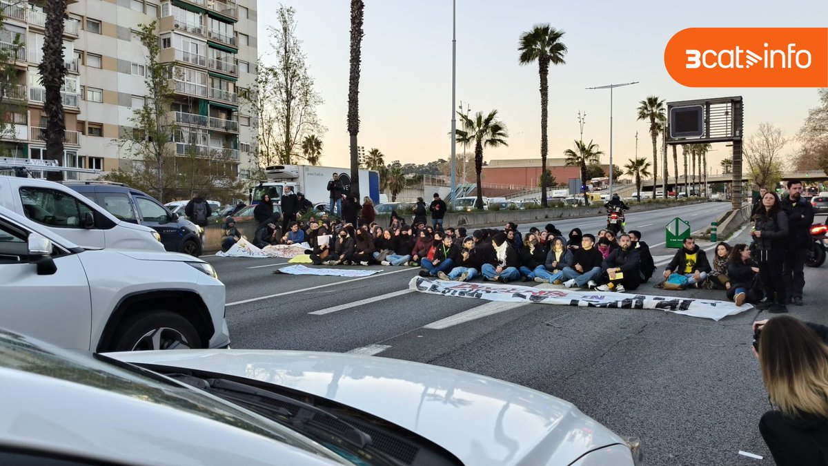 3CatInfo tweet media