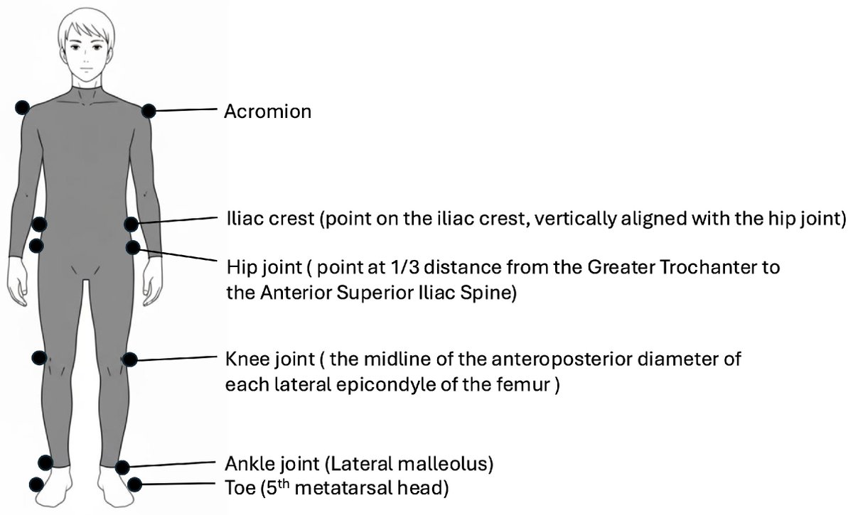 Bioengineering MDPI tweet media
