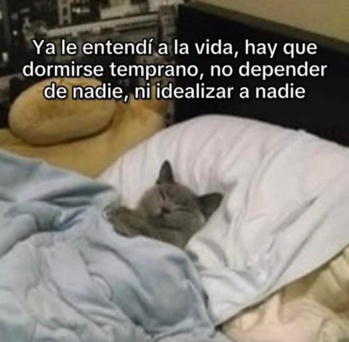 SeDicePelo? tweet media