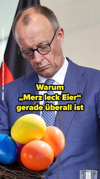 grumpyfox 🦊 tweet media