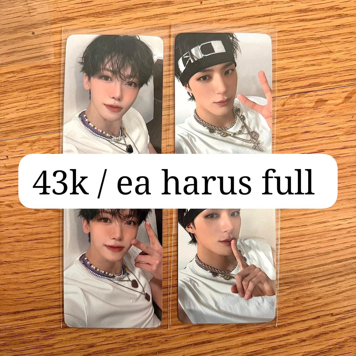 brachiou🦕 tweet media