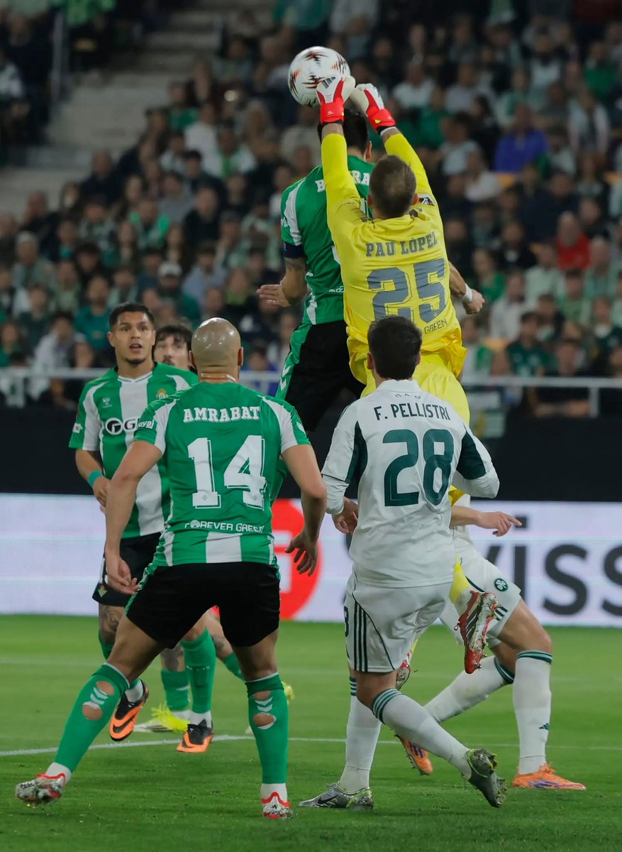 Jordi Agusti Bosch tweet media