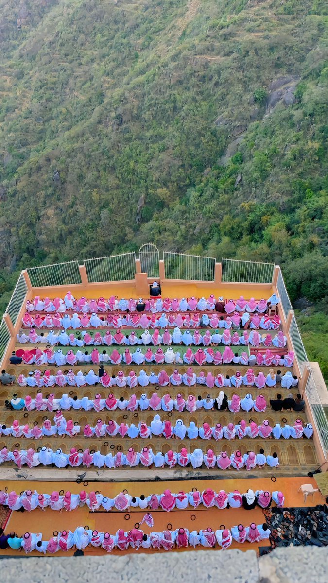  فالكون tweet media