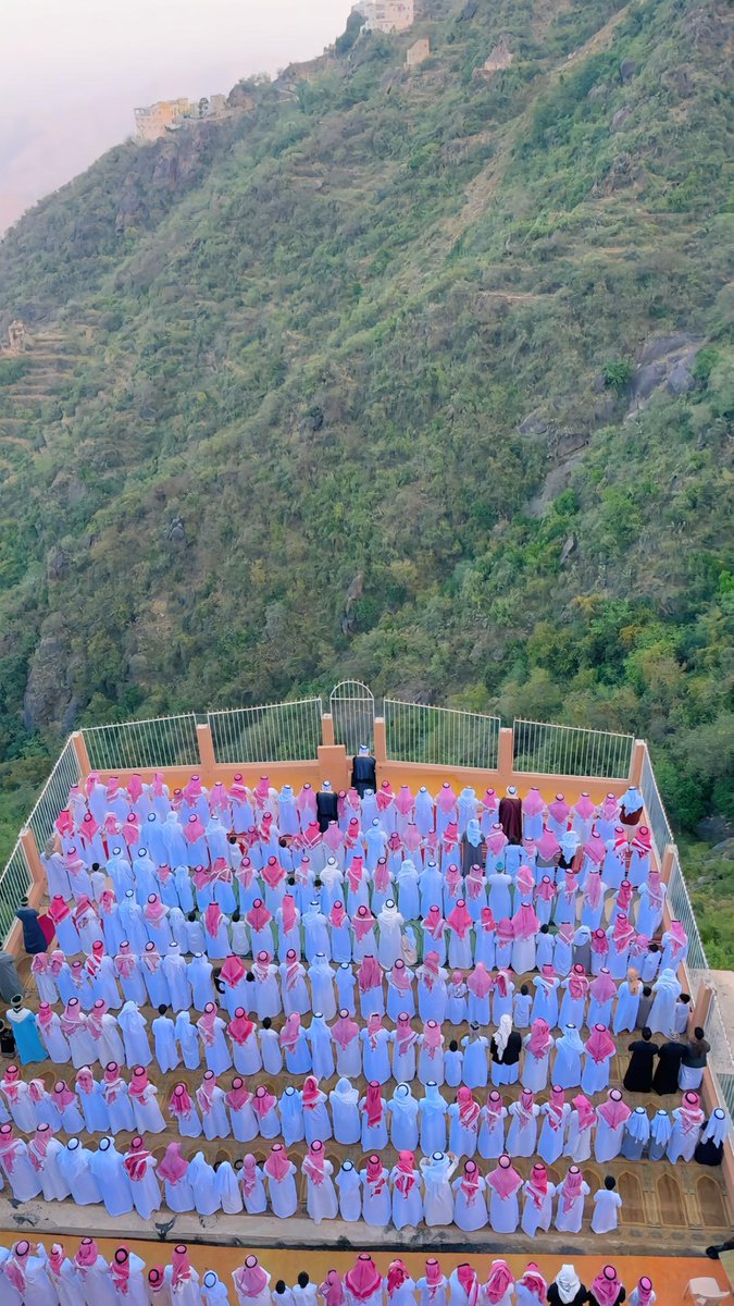  فالكون tweet media